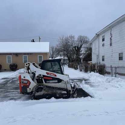 Professional land clearing equipment