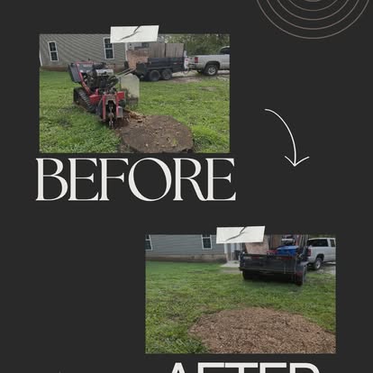 Before and after stump grinding